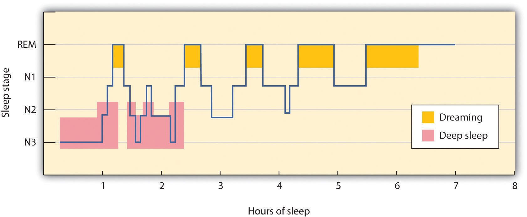 Sleeping And Dreaming Revitalize Us For Action Psychology St