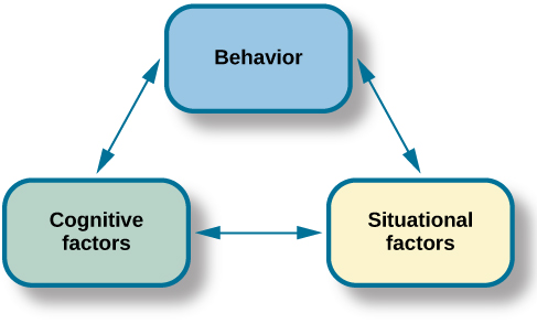 14.4 Behaviourist And Social-Cognitive Perspectives On Personality ...