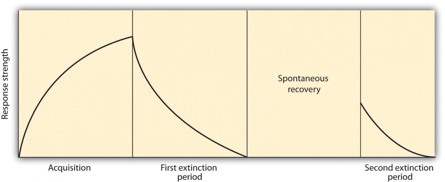 6.1 Learning by Association: Classical Conditioning – Psychology – 1st ...